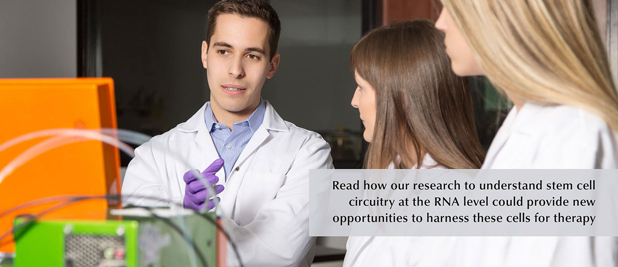 Nicholas Holzapfel, Kristin Hope, Ana Vujovic, Hope Lab, flow cytometry, research, stem cells